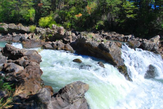 Sendero y Vivero Saltos de Marimán